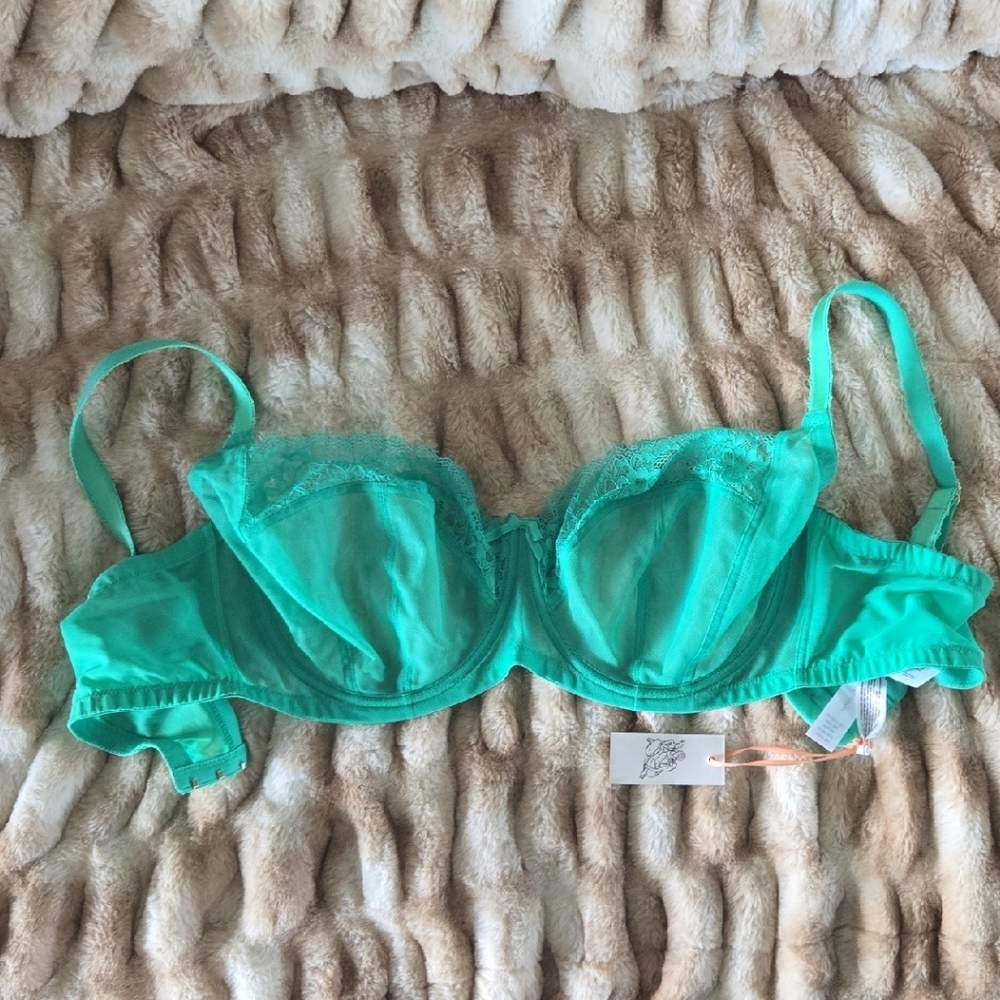 Playful Promises Deja Day Green Lace Bra 40DD